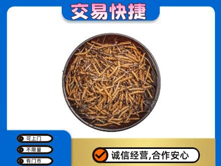 漳州长泰县高价回收散虫草